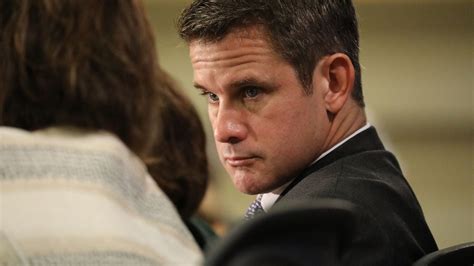 Could U.S. Rep. Adam Kinzinger be aiming for higher office?