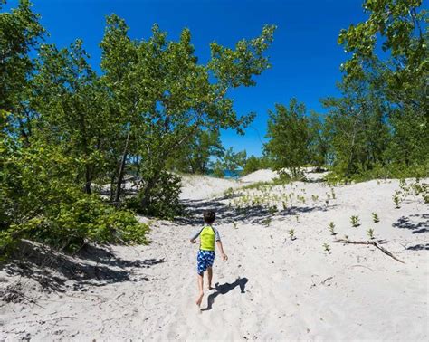 Sandbanks Provincial Park Camping: The Ultimate Guide To Camping In ...