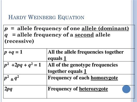 PPT - When Allele Frequencies Stay Constant PowerPoint Presentation ...