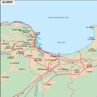 Algiers Vector map. Eps Africa City Map. Illustrator Vector Maps. Eps Illustrator Map | Vector ...