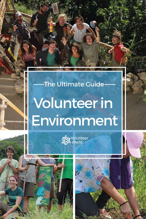 Environmental Volunteering | Environment, Work travel, Help the environment