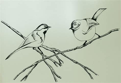 Simple Pen And Ink Bird Drawings - Popular Century