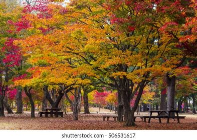 652 Autumn Sonata Images, Stock Photos & Vectors | Shutterstock