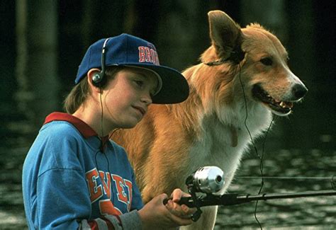 The 101 Greatest Dogs in Film History | Consequence of Sound