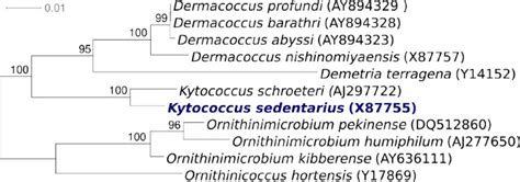 Complete genome sequence of Kytococcus sedentarius type strain (541T) | Environmental Microbiome