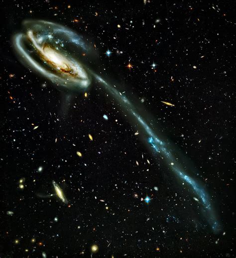 Tadpole Galaxy Photograph by Jennifer Rondinelli Reilly - Fine Art ...