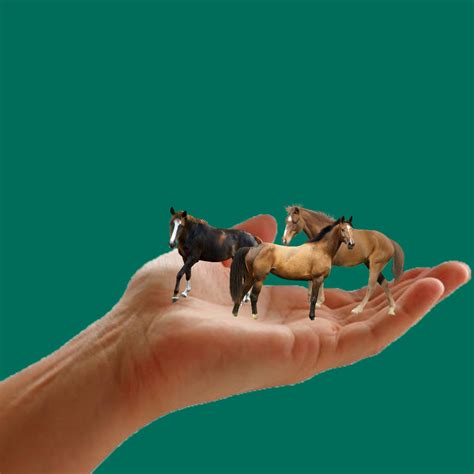 Hold your horses 1.1 by Onweb25 on DeviantArt