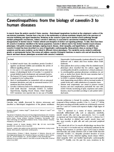 (PDF) Caveolinopathies: from the biology of caveolin-3 to human diseases | Michael Lisanti ...