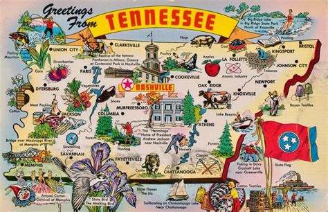 Tennessee postcard | Vintage postcards travel, Tennessee state map ...