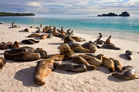 Nieuw! Galápagos eilanden | Norske