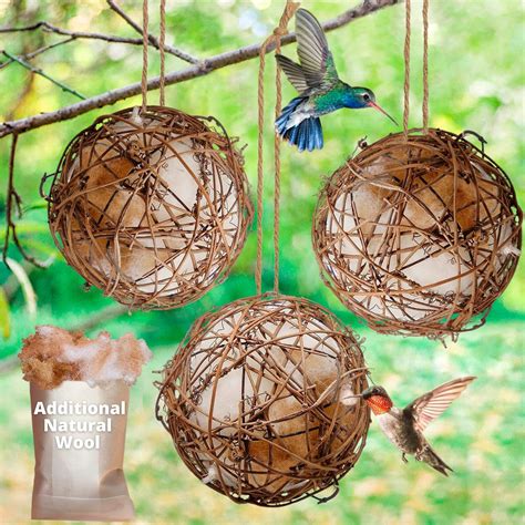 Buy YYK Set of 3 Globe Hummingbird Nesters Wild Bird Watching Camera, Live View, Instant ...