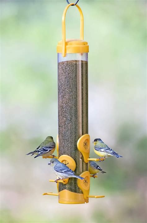 The Best Finch Feeders to Serve Thistle Seed - Birds and Blooms