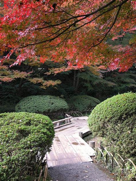 Tokyo, Japan: Meiji Shrine Inner Garden | Meiji shrine, Gardens of the ...