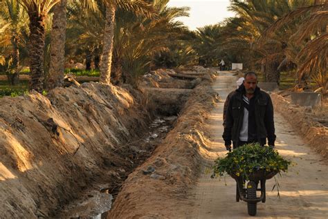 Tunisia [Part 4]: Matmata, Douz & the Desert - The A to Z Journey