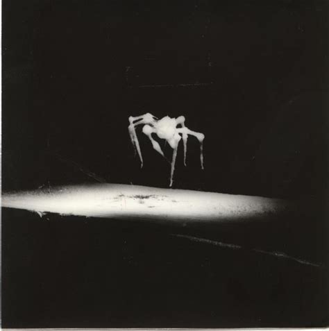 Spider | Spider art, Spider, Creepy