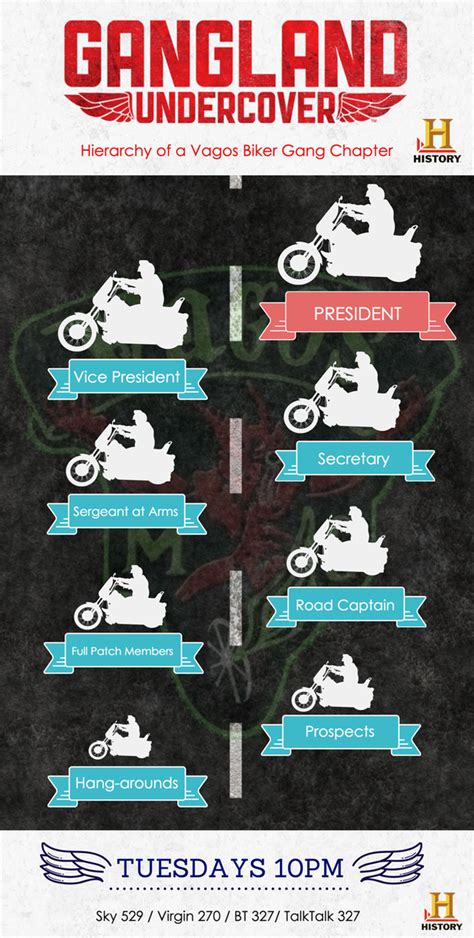 Biker gang hierarchy is pretty damn confusing, so we made this to help you understand... # ...