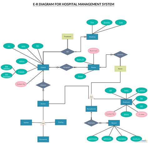 What is an Entity Relationship Diagram (ERD)? | An Introduction to ER ...