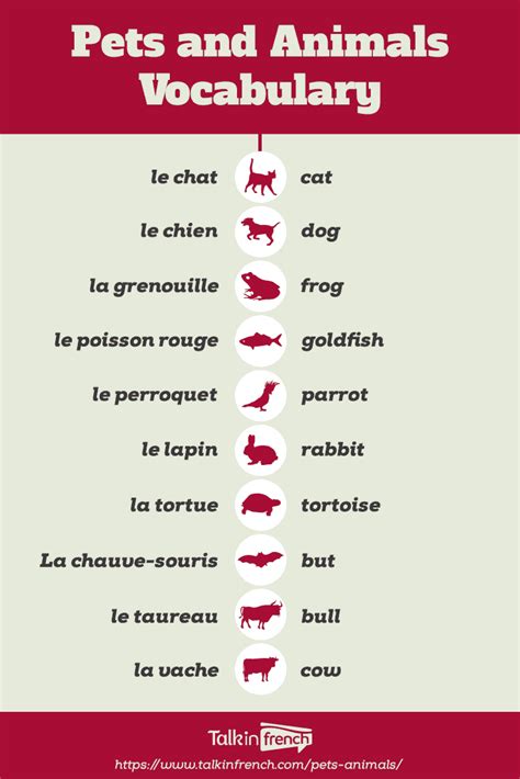 French Vocab: Pets And Animals - Talk in French