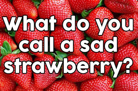 17 Jokes About Fruit That Will Make You Laugh I Swear