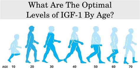 What Are The Optimal IGF-1 Levels by Age, Gender, Ethnicity? | Best HGH ...