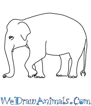 How to Draw an Asian Elephant