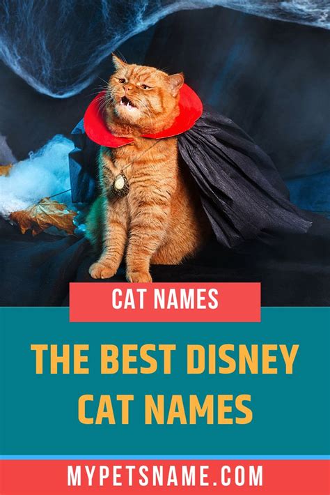 Best Disney Cat Names | Disney cat names, Disney cats, Cat names