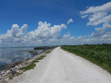 Lake Apopka Loop Trail, FL eco-biking | Maps, photos, first-hand reports | 100floridatrails.com