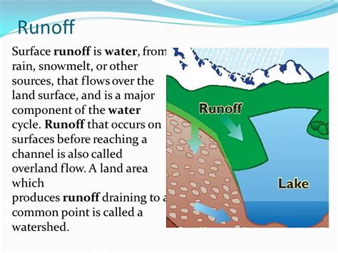 Runoff In The Water Cycle Definition Examples Video Lesson , 52% OFF