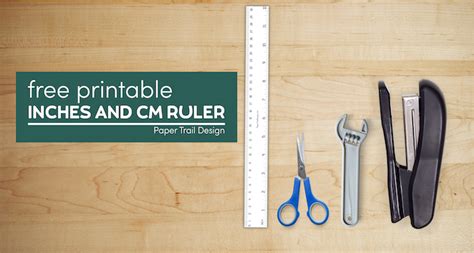 Free Printable Ruler {inches and cm} - Paper Trail Design