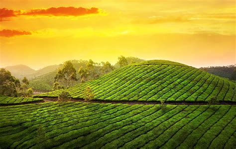 Kerala 1080P, 2K, 4K, 5K HD wallpapers free download | Wallpaper Flare