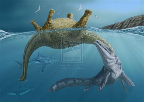 Liodon; Late Cretaceous; Discovered by Agassiz, 1846 [Note: originally Leiodon] | Prehistoric ...