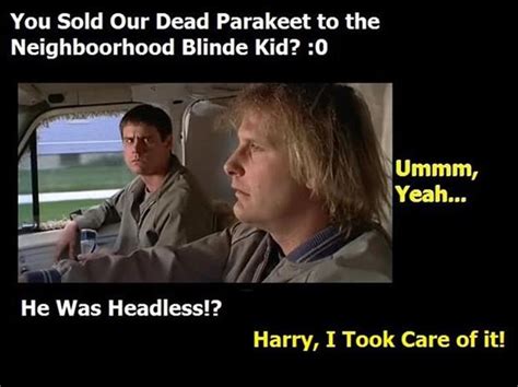 20 Funny Dumb And Dumber Quotes That I Still Use In My Everyday Life