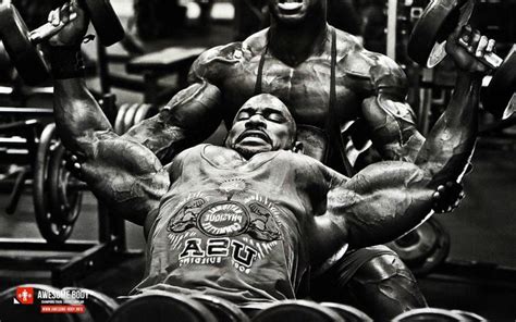 Free download Bodybuilding Wallpaper 6 [1024x768] for your Desktop, Mobile & Tablet | Explore 77 ...