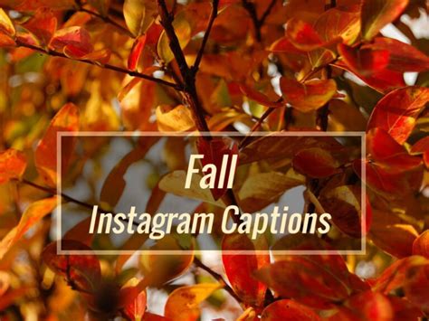 100+ Best Fall instagram captions | short cute simple funny IG quotes