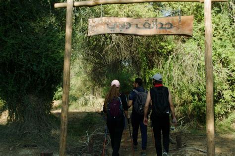 Dubai unveils new 10km hiking trail at Mushrif Park featuring lush greenery