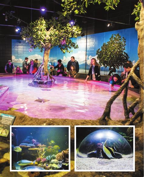 318 Forum: Shreveport AQUARIUM | Shreveport News