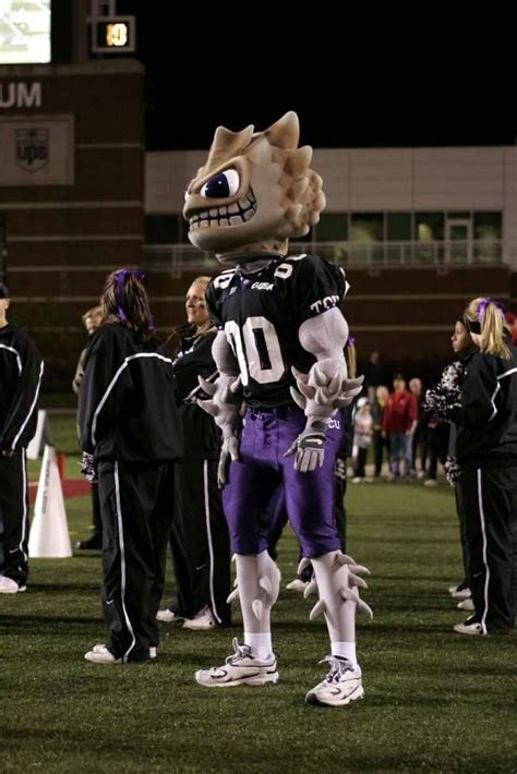 Pin by UniSunn 144 College Football B on College Football Mascots ...