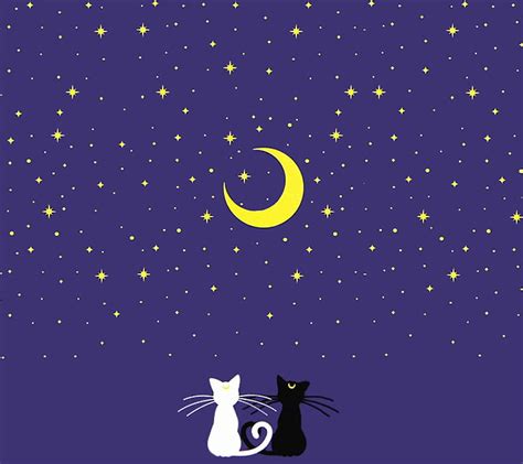 1920x1080px, 1080P free download | Luna and Artemis, anime, cat, moon ...