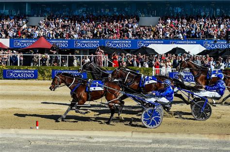 Racing: Thefixer takes top spot in New Zealand Trotting Cup - NZ Herald