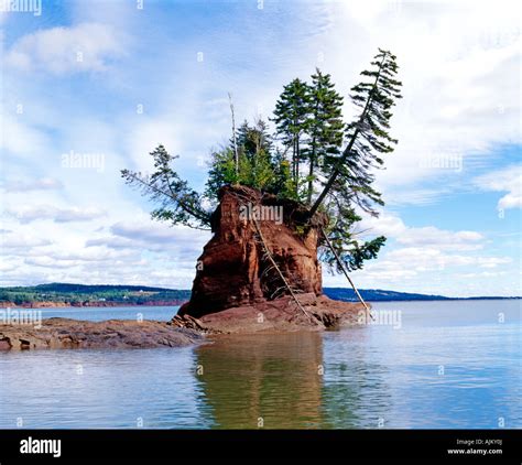 Cape d'Or, Bay of Fundy, Nova Scotia Stock Photo - Alamy