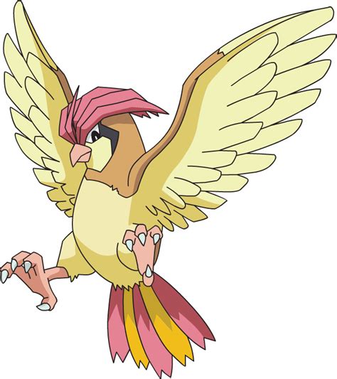 Pidgeotto | Project Pokemon Wiki | FANDOM powered by Wikia