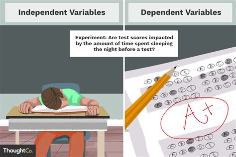 Independent and Dependent Variable Examples