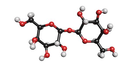 C12h22o11 maltose 3D - TurboSquid 1425566