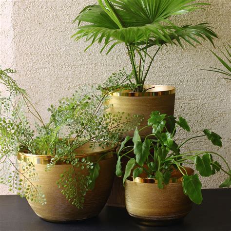 Beautiful brass planters to decorate your home – Mora Taara