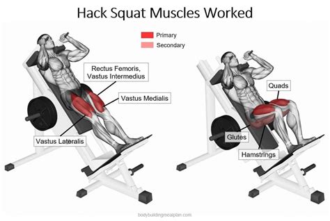 Pin on Glutes/Quads/Hamstrings