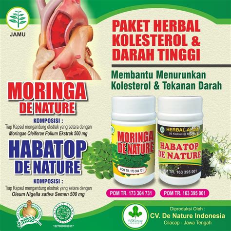 Obat Herbal Kolesterol