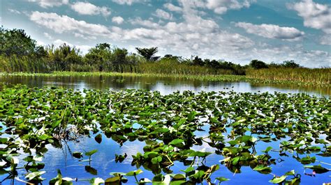 Okeechobee, Florida 2024 | Ultimate Guide To Where To Go, Eat & Sleep in Okeechobee | Time Out