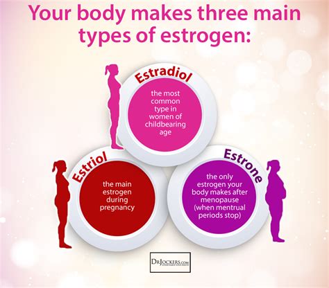 Types of Estrogen | Low estrogen, Low estrogen symptoms, Estrogen hormone