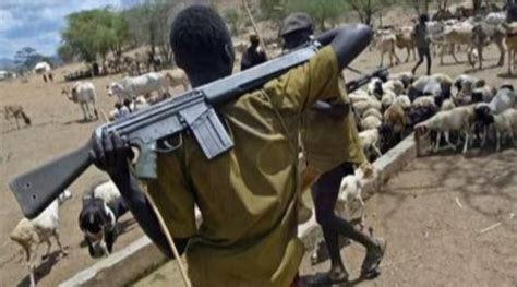 Fulani herdsmen attack Nasarawa community, kill two farmers