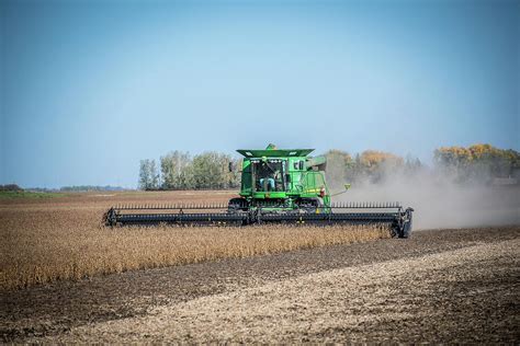 Bean Harvest Photograph by Paul Freidlund - Fine Art America